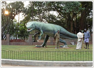 Guindy National Park Chennai